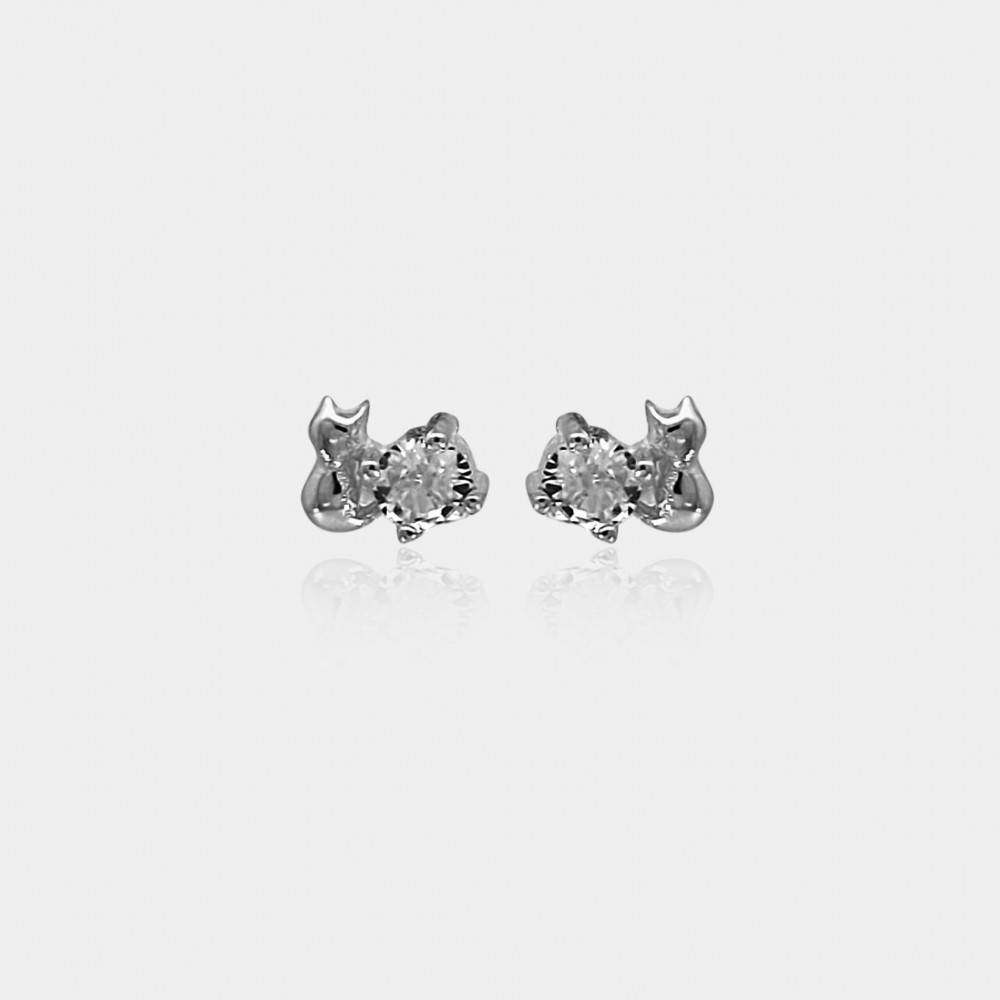 Earrings in Silver 925