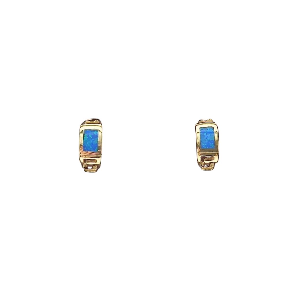 Stud Earrings with Opal Stone in Silver 925