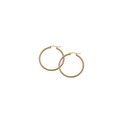 Hoop Earrings in Stainless Steel