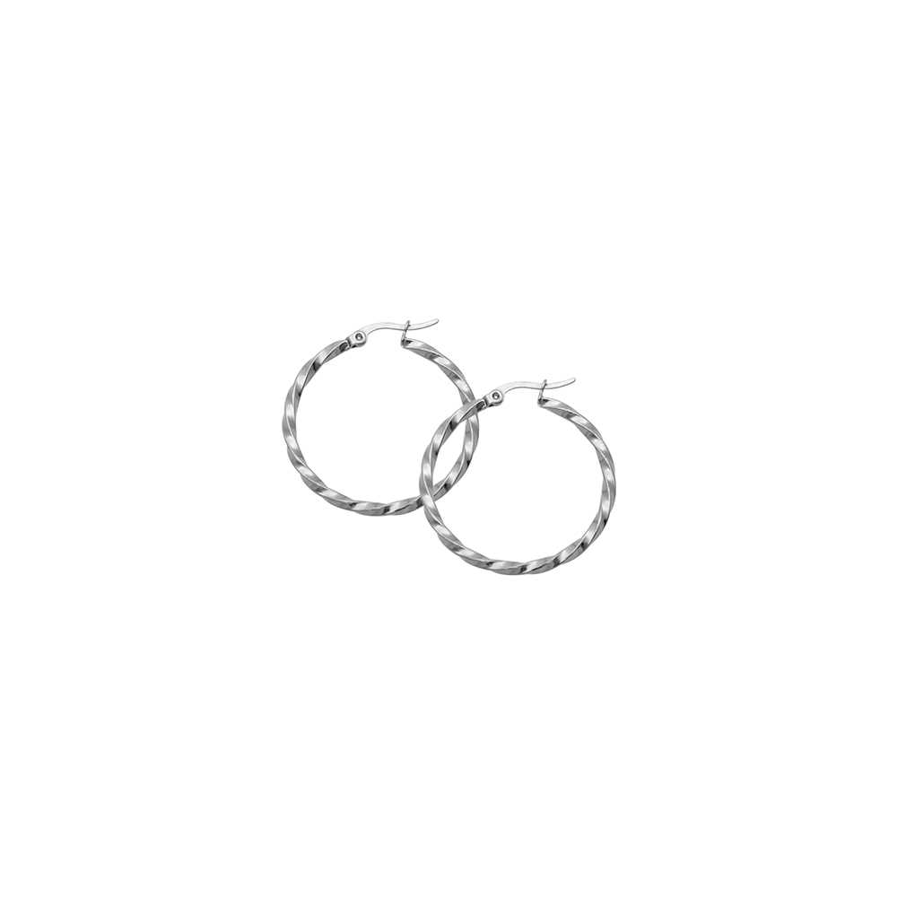 Twisted Hoop Earrings in Stainless Steel