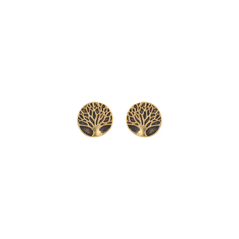Σκουλαρίκια Καρφωτά Δέντρο από Ασήμι 925