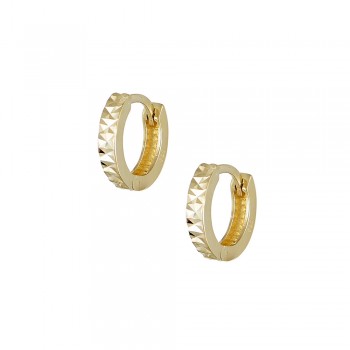 Huggie Earrings in Gold 9K